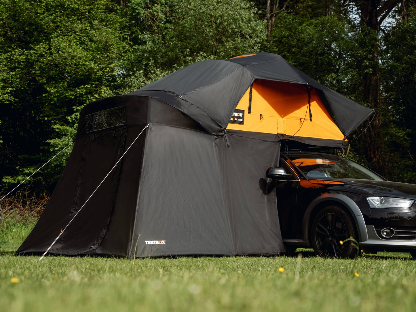 Lite XL Ultimate Bundle